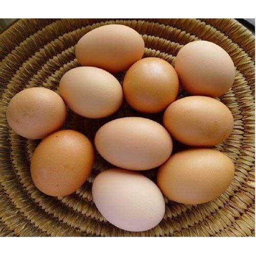 Natural Brown Shell Eggs Egg Origin: Chicken