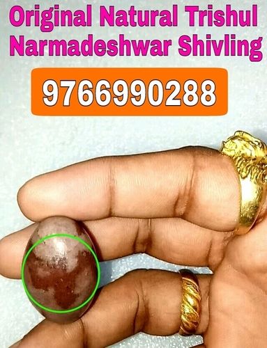 Natural Trishul Akruti Narmadeshwar Shivling