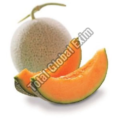 Green A Grade Fresh Muskmelon Fruits