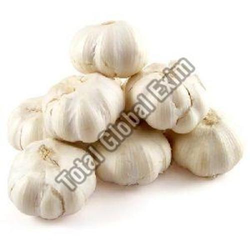 Fresh White Garlic For Food Preserving Compound: Cool And Dry Place