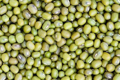 High in Protein Mung Beans