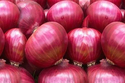 Natural Indian Origin Raw Onions