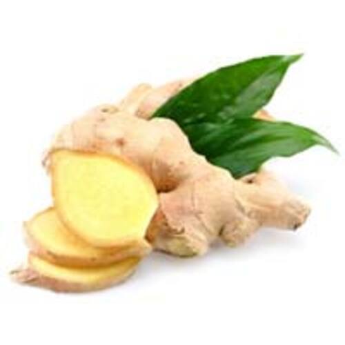 Fresh Brown Ginger for Food