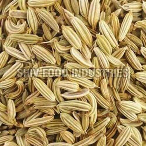 Green Fennel Seeds for Food