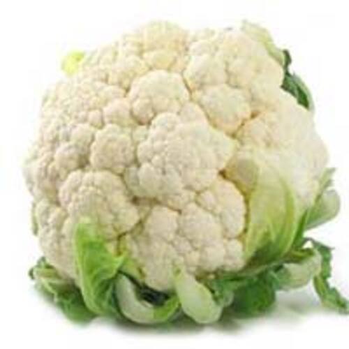 Green Fresh Cauliflower For Cooking