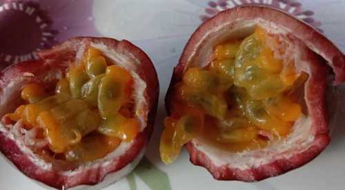 Natural Organic Passion Fruit