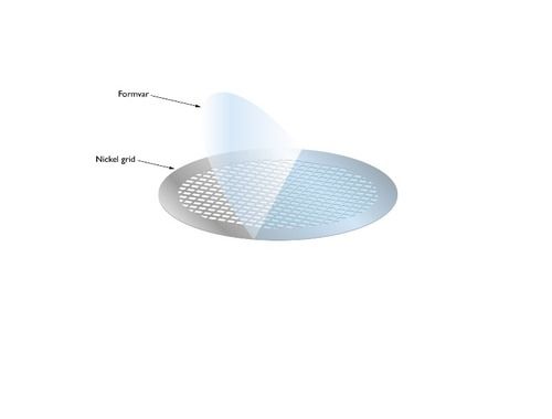 Formvar Films On Nickel Tem Grids _ Ags138N Application: Industrial