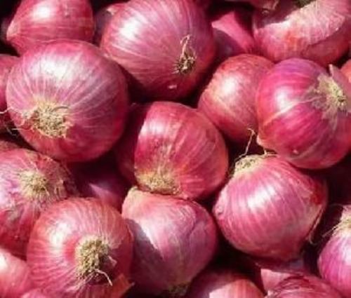 Fresh Red Onion For Cooking Preserving Compound: Cool And Dry Place