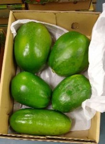 Green Fresh Papaya Fruits