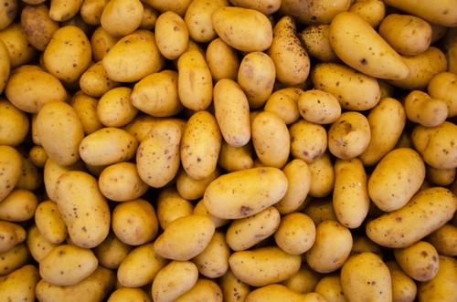High Grade Fresh Potatoes
