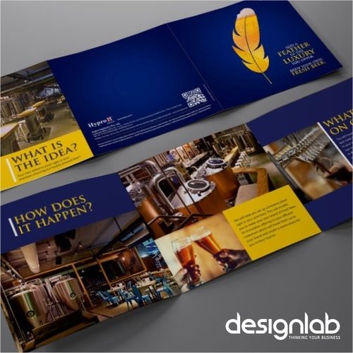 Multicolor Brochure Designing Service