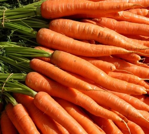 Nutritious Fresh Red Carrots