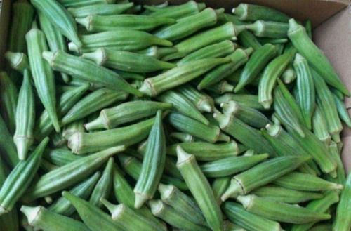 Rich in Fiber Fresh Okra