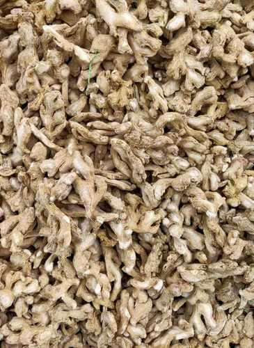 White Best Price Natural Dry Ginger