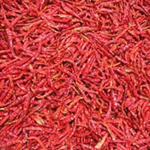 Dried Red Chilli For Food