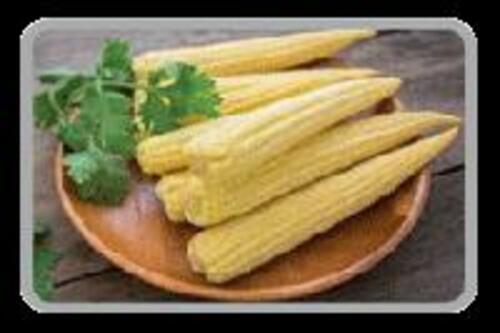 Fresh Peeled Baby Corn