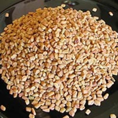 Pure Fenugreek Seeds for Food