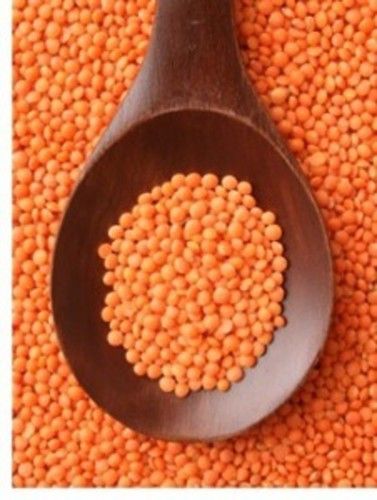 Common Red Lentils Pulses For Cooking