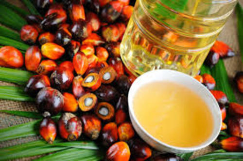 Red Palm Oil for Cooking