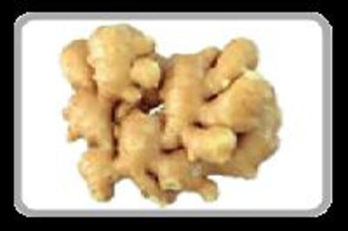 Fresh Brown Ginger For Food Preserving Compound: Cool And Dry Place