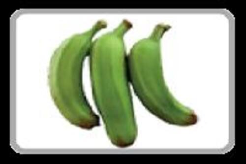 Fresh Green Banana Fruits