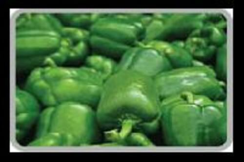 Fresh Green Capsicum for Cooking