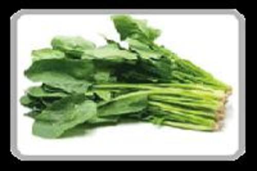 Fresh Green Spinach for Cooking