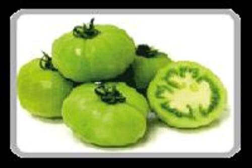 Fresh Green Tomato for Cooking