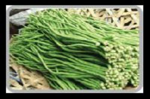 Fresh Snake Beans for Cooking