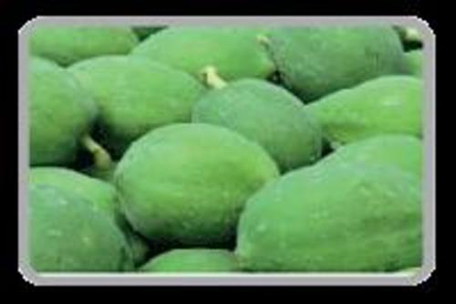 Green Fresh Papaya Fruits