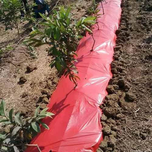 Iris Plastic Mulching Film