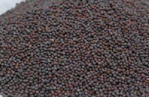 Black Mustard Seeds for Food