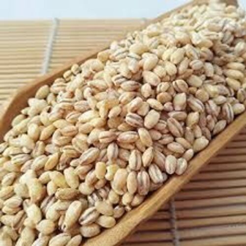 Brown Barley Seeds for Food