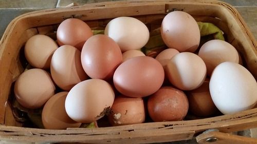 Fresh White And Brown Chicken Eggs
