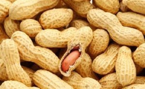 Shelled Peanuts Health Food