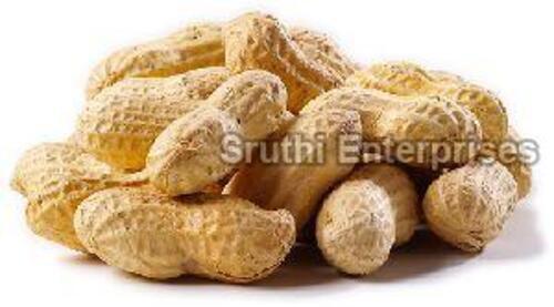 Raw Shelled Peanuts for Food