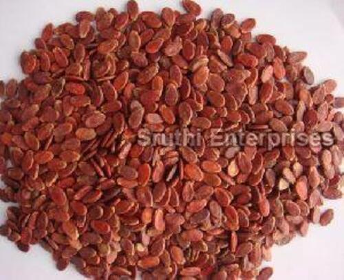 Red Watermelon Seeds for Cultivation