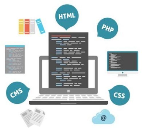 Customized Website Development Service