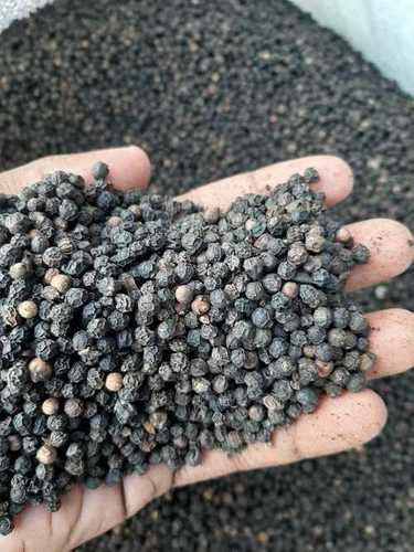 Black Pepper - Grade A, Black Color | 100% Natural, Pure Taste, Fresh, Contaminant Free, Ideal for Cooking