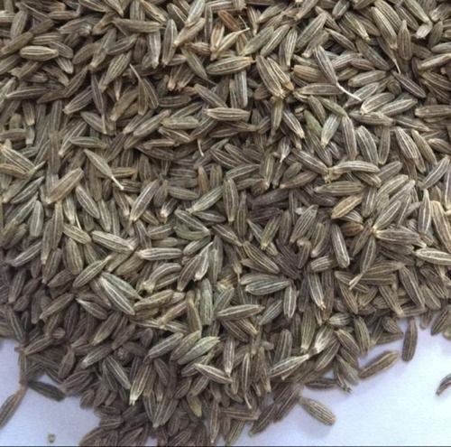 Natural Organic Fennel Seed
