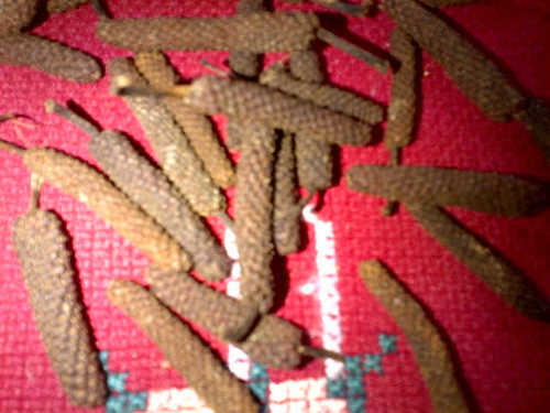 Black Javanese Long Pepper