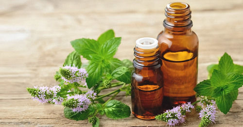 Pure Peppermint Essential Oil