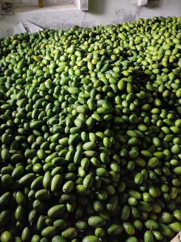 Green And Yellow Raw Dussheri Ripe Mangoes