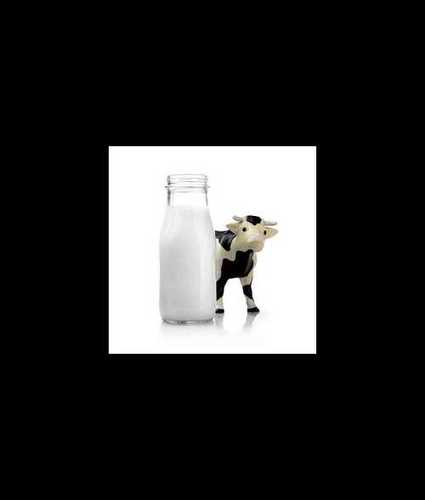  ताजा डेयरी गाय का दूध 