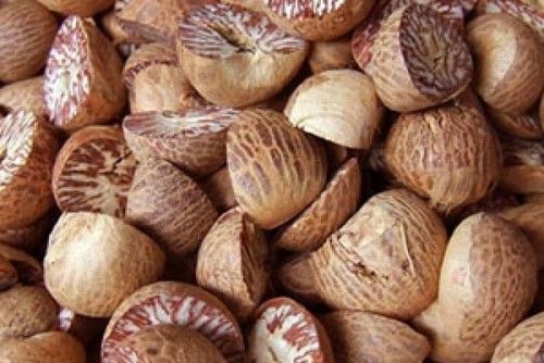 Bluetooth Dried Whole Betel Nuts