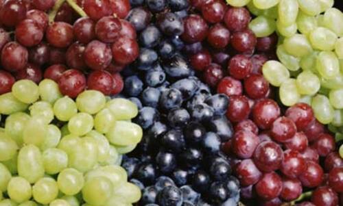 Organic Fresh Green, Red & Black Grapes - Grade A, Sweet Taste, Small Oval Shape | Non-Peeled, 100% Maturity, Health-Boosting Fruits from India