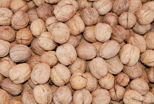 Raw Walnut With Shell