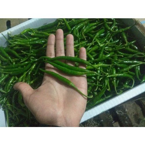 Farm Fresh Green Chilli