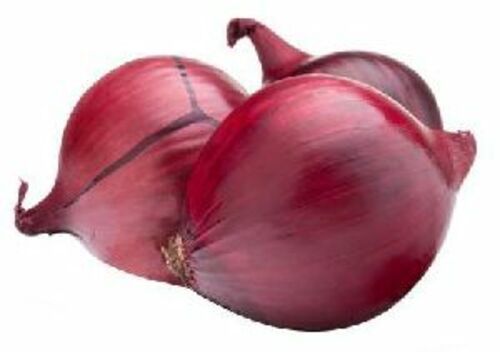 Fresh Natural Onion for Cooking