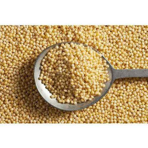 Natural Dried Foxtail Millet Rice